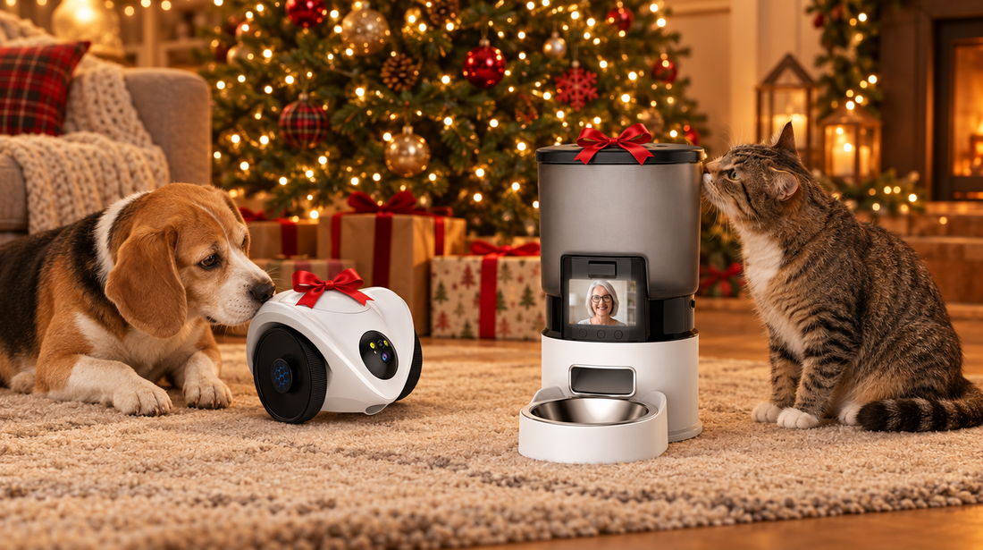 PawCam Feeder et PawBowl avec un nœud rouge devant le sapin de Noël, un chat et un beagle à côté
