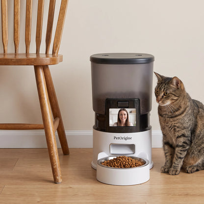 Distributeur de croquettes PawBowl à côté d'un chat, comparaison de taille