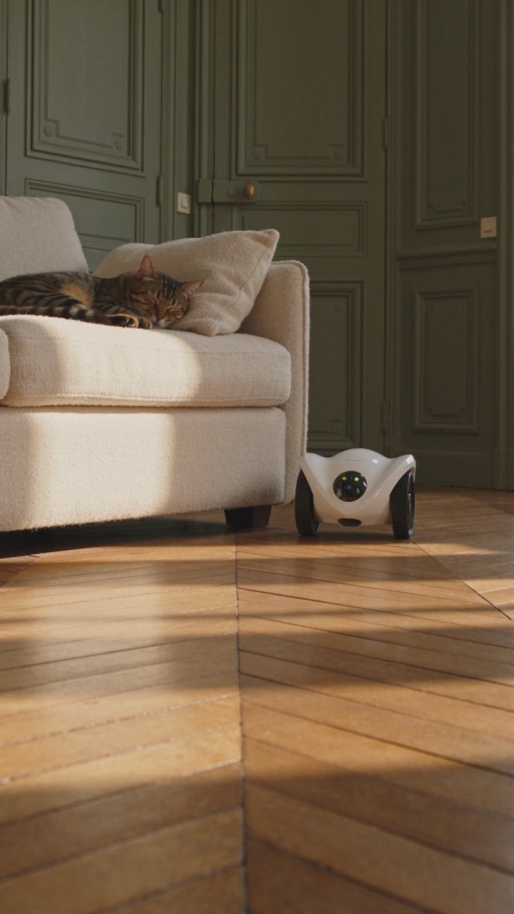 PawCam Feeder roulant sur le sol d'un salon, caméra robot mobile pour chat et chien